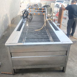 【果蔬清洗線、水產品清洗設備、土豆清洗設備、大棗清洗設備】- 